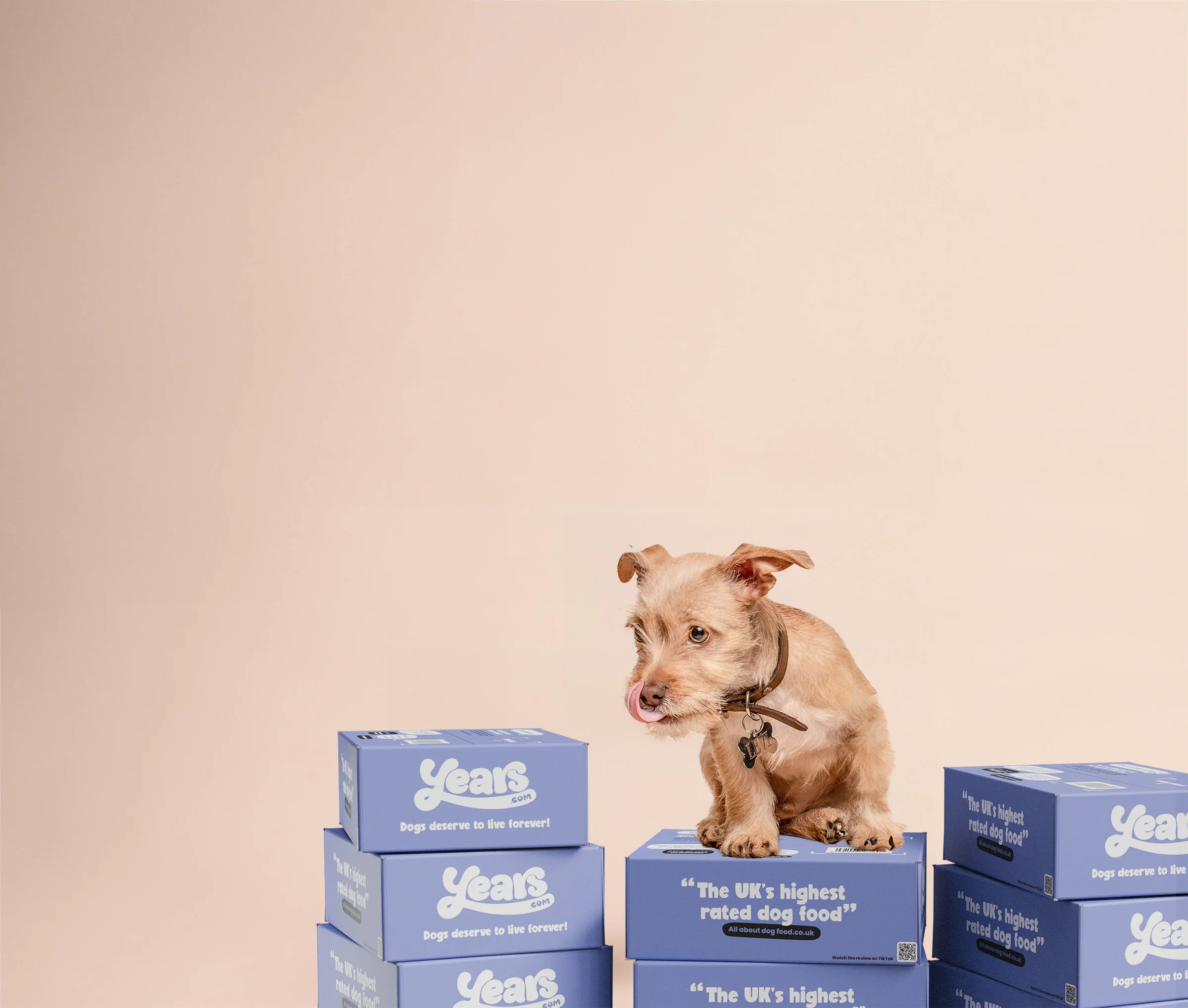 Welcome to Our Store